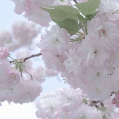 Furry插画构图思路福瑞交流群